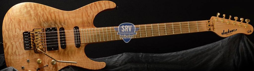 Srv Music Store