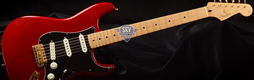 Srv Music Store