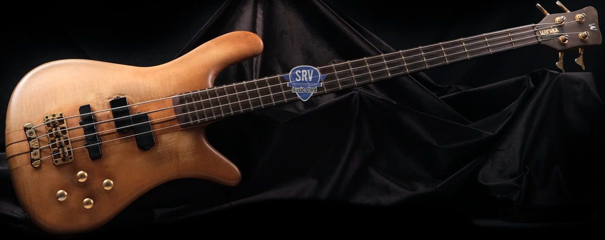 Srv Music Store