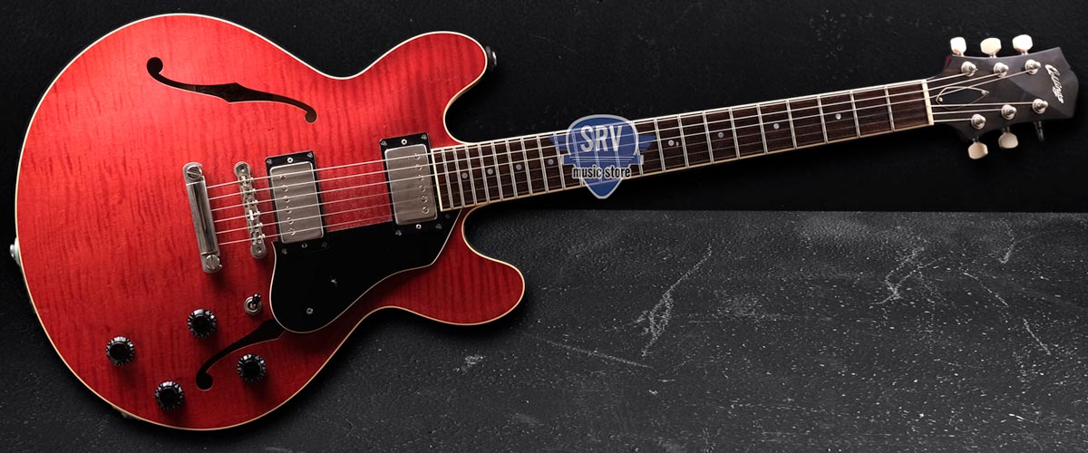Srv Music Store