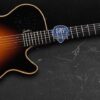 Godin Multiac Steel Duet Ambiance