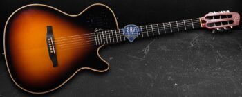 Godin Multiac Steel Duet Ambiance