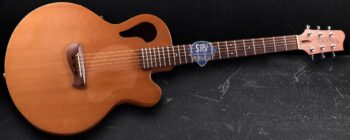 Tacoma Acoustic Electric