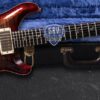 PRS Wood Library Ltd Edition Custom 24 /08